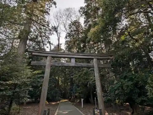 若狭彦神社（上社）の{uncategorized: "未分類", other: "その他", undefined: "問題あり", building: "その他建物", grave: "お墓", sacred_gate: "鳥居", guardian: "狛犬", statue: "像", buddha: "仏像", history: "歴史", nature: "自然", garden: "庭園", animal: "動物", pagoda: "塔", temizu: "手水舎", mountain_gate: "山門・神門", sanctuary: "本殿・本堂", subordinate: "末社・摂社", art: "芸術", scenery: "景色", jizo: "地蔵", ema: "絵馬", goshuin: "御朱印", omikuji: "おみくじ", items: "授与品その他", amulet: "お守り", goshuincho: "御朱印帳", eats: "食事", festival: "お祭り", votive_dance: "神楽", shichigosan: "七五三参", wedding: "結婚式", experience: "体験その他", initially: "初詣", around: "周辺", anti_infection: "感染症対策"}
