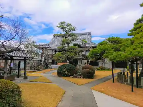 大円寺の庭園