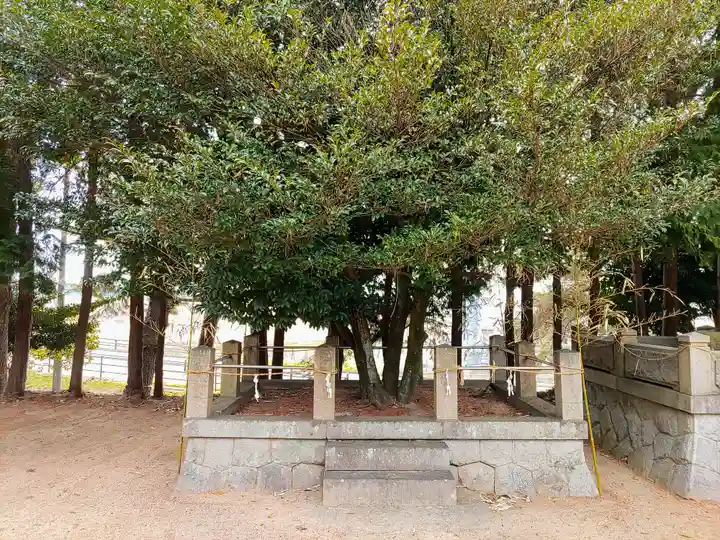 熊野神社の自然
