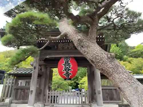 長谷寺の山門・神門