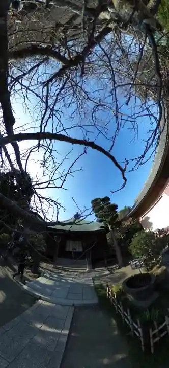 極楽寺(霊鷲山感應院極楽律寺)の庭園