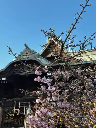 桜神宮の{uncategorized: "未分類", other: "その他", undefined: "問題あり", building: "その他建物", grave: "お墓", sacred_gate: "鳥居", guardian: "狛犬", statue: "像", buddha: "仏像", history: "歴史", nature: "自然", garden: "庭園", animal: "動物", pagoda: "塔", temizu: "手水舎", mountain_gate: "山門・神門", sanctuary: "本殿・本堂", subordinate: "末社・摂社", art: "芸術", scenery: "景色", jizo: "地蔵", ema: "絵馬", goshuin: "御朱印", omikuji: "おみくじ", items: "授与品その他", amulet: "お守り", goshuincho: "御朱印帳", eats: "食事", festival: "お祭り", votive_dance: "神楽", shichigosan: "七五三参", wedding: "結婚式", experience: "体験その他", initially: "初詣", around: "周辺", anti_infection: "感染症対策"}