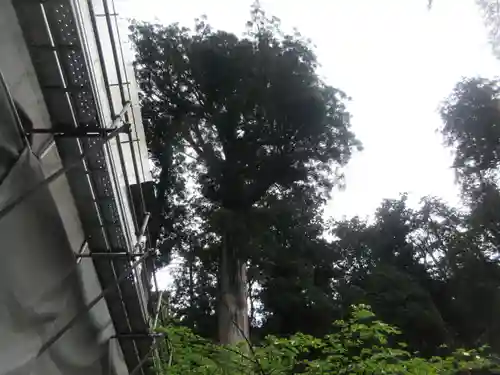 日光二荒山神社(栃木県)