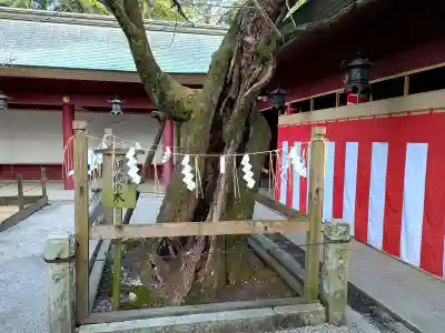 笠間稲荷神社の{uncategorized: "未分類", other: "その他", undefined: "問題あり", building: "その他建物", grave: "お墓", sacred_gate: "鳥居", guardian: "狛犬", statue: "像", buddha: "仏像", history: "歴史", nature: "自然", garden: "庭園", animal: "動物", pagoda: "塔", temizu: "手水舎", mountain_gate: "山門・神門", sanctuary: "本殿・本堂", subordinate: "末社・摂社", art: "芸術", scenery: "景色", jizo: "地蔵", ema: "絵馬", goshuin: "御朱印", omikuji: "おみくじ", items: "授与品その他", amulet: "お守り", goshuincho: "御朱印帳", eats: "食事", festival: "お祭り", votive_dance: "神楽", shichigosan: "七五三参", wedding: "結婚式", experience: "体験その他", initially: "初詣", around: "周辺", anti_infection: "感染症対策"}