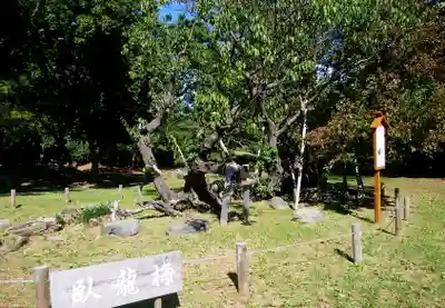 松前神社(北海道)