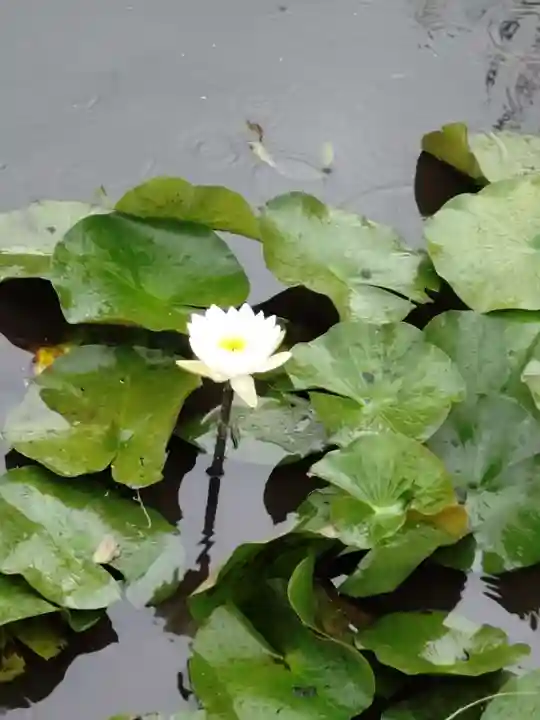 勧修寺(京都府)