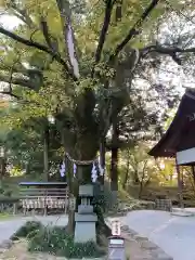 武田神社(山梨県)