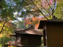 普門寺(切り絵御朱印発祥の寺)(愛知県)