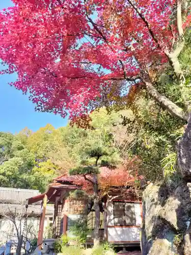 このみ白雲大社(岡山県)