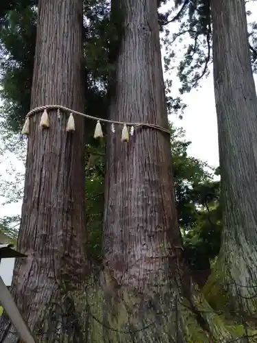 日枝神社の自然
