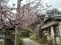 神咒寺の{uncategorized: "未分類", other: "その他", undefined: "問題あり", building: "その他建物", grave: "お墓", sacred_gate: "鳥居", guardian: "狛犬", statue: "像", buddha: "仏像", history: "歴史", nature: "自然", garden: "庭園", animal: "動物", pagoda: "塔", temizu: "手水舎", mountain_gate: "山門・神門", sanctuary: "本殿・本堂", subordinate: "末社・摂社", art: "芸術", scenery: "景色", jizo: "地蔵", ema: "絵馬", goshuin: "御朱印", omikuji: "おみくじ", items: "授与品その他", amulet: "お守り", goshuincho: "御朱印帳", eats: "食事", festival: "お祭り", votive_dance: "神楽", shichigosan: "七五三参", wedding: "結婚式", experience: "体験その他", initially: "初詣", around: "周辺", anti_infection: "感染症対策"}
