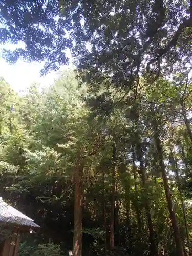 熊野神社の自然