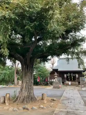 御霊神社(東京都)