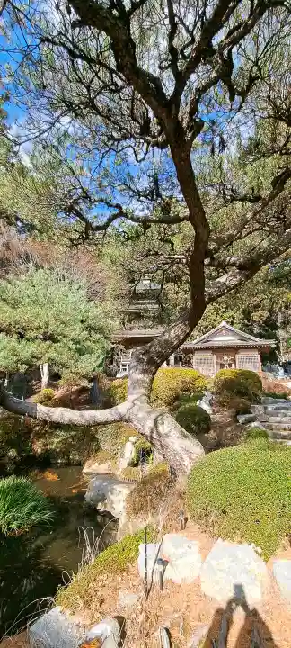 普門寺の{uncategorized: "未分類", other: "その他", undefined: "問題あり", building: "その他建物", grave: "お墓", sacred_gate: "鳥居", guardian: "狛犬", statue: "像", buddha: "仏像", history: "歴史", nature: "自然", garden: "庭園", animal: "動物", pagoda: "塔", temizu: "手水舎", mountain_gate: "山門・神門", sanctuary: "本殿・本堂", subordinate: "末社・摂社", art: "芸術", scenery: "景色", jizo: "地蔵", ema: "絵馬", goshuin: "御朱印", omikuji: "おみくじ", items: "授与品その他", amulet: "お守り", goshuincho: "御朱印帳", eats: "食事", festival: "お祭り", votive_dance: "神楽", shichigosan: "七五三参", wedding: "結婚式", experience: "体験その他", initially: "初詣", around: "周辺", anti_infection: "感染症対策"}