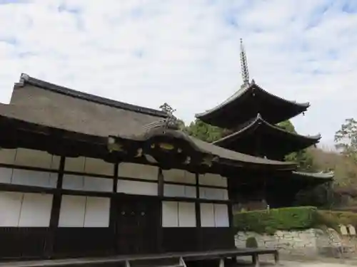 園城寺（三井寺）の建物その他