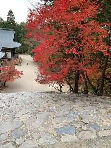 神護寺の景色