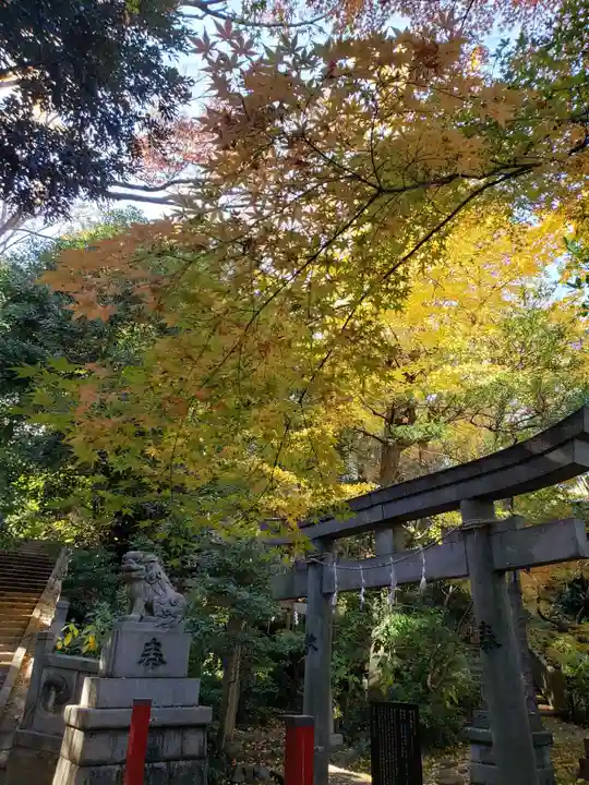 赤坂氷川神社(東京都)
