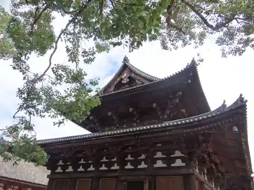 東寺（教王護国寺）(京都府)