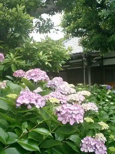 實相寺（実相寺）の自然