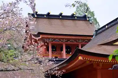 富士山本宮浅間大社の本殿・本堂