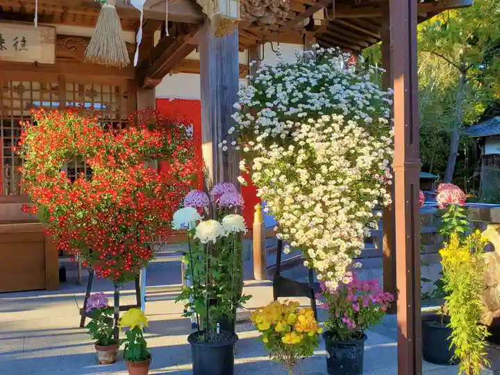 淡河八幡神社の自然