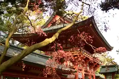 武蔵一宮氷川神社のその他建物
