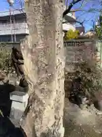 若宮神社(若宮八幡社)のその他建物