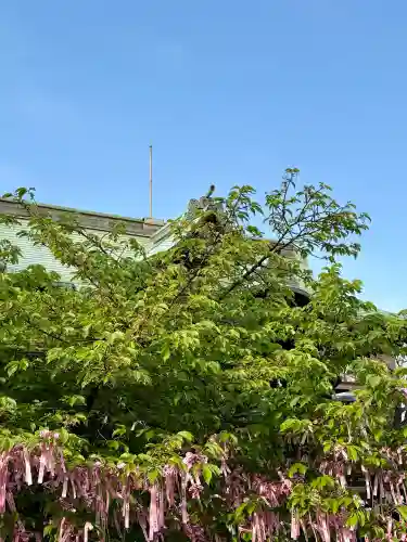 桜神宮の{uncategorized: "未分類", other: "その他", undefined: "問題あり", building: "その他建物", grave: "お墓", sacred_gate: "鳥居", guardian: "狛犬", statue: "像", buddha: "仏像", history: "歴史", nature: "自然", garden: "庭園", animal: "動物", pagoda: "塔", temizu: "手水舎", mountain_gate: "山門・神門", sanctuary: "本殿・本堂", subordinate: "末社・摂社", art: "芸術", scenery: "景色", jizo: "地蔵", ema: "絵馬", goshuin: "御朱印", omikuji: "おみくじ", items: "授与品その他", amulet: "お守り", goshuincho: "御朱印帳", eats: "食事", festival: "お祭り", votive_dance: "神楽", shichigosan: "七五三参", wedding: "結婚式", experience: "体験その他", initially: "初詣", around: "周辺", anti_infection: "感染症対策"}