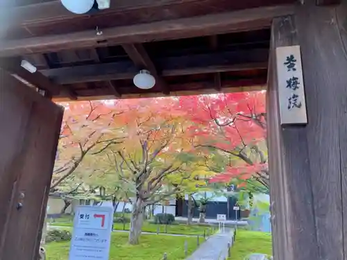 黄梅院の山門・神門
