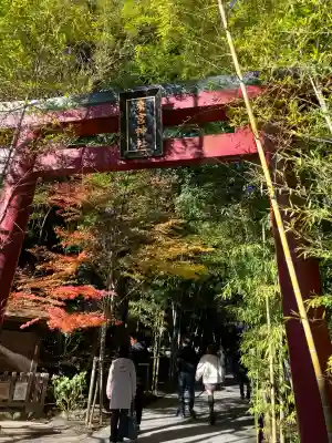 來宮神社(静岡県)
