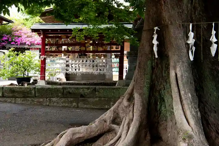 滝野川八幡神社(東京都)