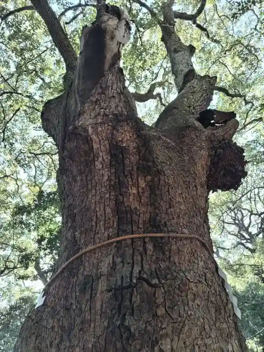 生田神社(兵庫県)
