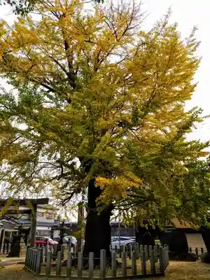 須佐之男社のその他建物