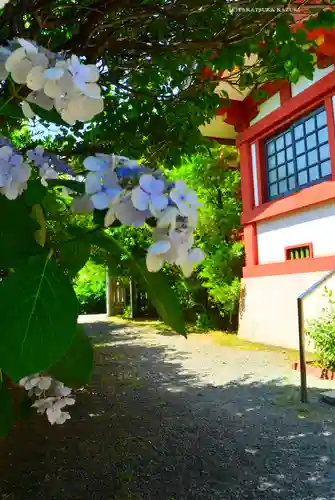 東神奈川熊野神社(神奈川県)