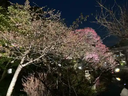 長谷寺の{uncategorized: "未分類", other: "その他", undefined: "問題あり", building: "その他建物", grave: "お墓", sacred_gate: "鳥居", guardian: "狛犬", statue: "像", buddha: "仏像", history: "歴史", nature: "自然", garden: "庭園", animal: "動物", pagoda: "塔", temizu: "手水舎", mountain_gate: "山門・神門", sanctuary: "本殿・本堂", subordinate: "末社・摂社", art: "芸術", scenery: "景色", jizo: "地蔵", ema: "絵馬", goshuin: "御朱印", omikuji: "おみくじ", items: "授与品その他", amulet: "お守り", goshuincho: "御朱印帳", eats: "食事", festival: "お祭り", votive_dance: "神楽", shichigosan: "七五三参", wedding: "結婚式", experience: "体験その他", initially: "初詣", around: "周辺", anti_infection: "感染症対策"}