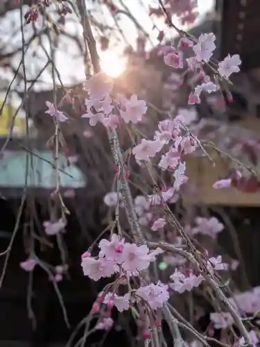 大宮八幡宮(東京都)