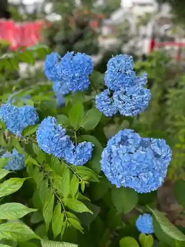 秩父今宮神社(埼玉県)
