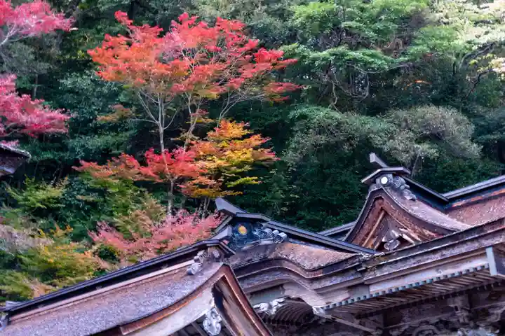 大矢田神社(岐阜県)