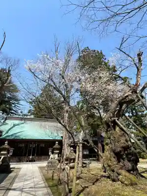 蠶養國神社(福島県)