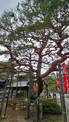 善光寺大勧進(長野県)