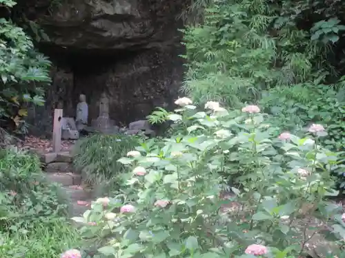 妙本寺の庭園