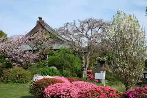 時宗総本山 遊行寺（正式：清浄光寺）の庭園