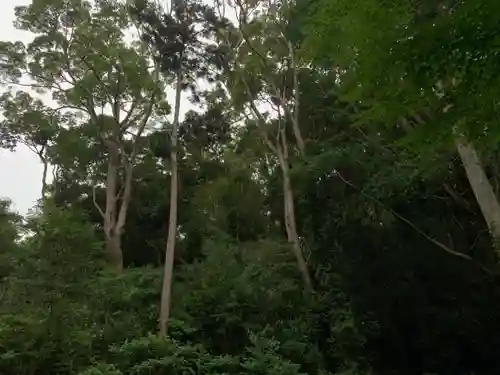 愛宕神社の自然