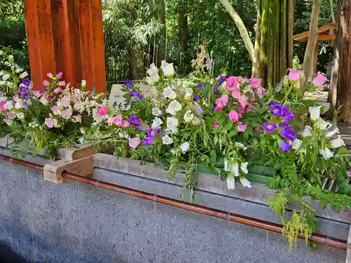 武蔵一宮氷川神社の手水