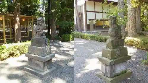 旭川神社の狛犬