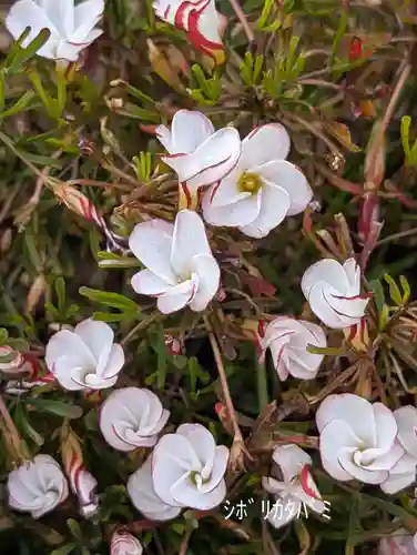 慶運寺(神奈川県)