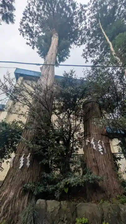 八雲神社の{uncategorized: "未分類", other: "その他", undefined: "問題あり", building: "その他建物", grave: "お墓", sacred_gate: "鳥居", guardian: "狛犬", statue: "像", buddha: "仏像", history: "歴史", nature: "自然", garden: "庭園", animal: "動物", pagoda: "塔", temizu: "手水舎", mountain_gate: "山門・神門", sanctuary: "本殿・本堂", subordinate: "末社・摂社", art: "芸術", scenery: "景色", jizo: "地蔵", ema: "絵馬", goshuin: "御朱印", omikuji: "おみくじ", items: "授与品その他", amulet: "お守り", goshuincho: "御朱印帳", eats: "食事", festival: "お祭り", votive_dance: "神楽", shichigosan: "七五三参", wedding: "結婚式", experience: "体験その他", initially: "初詣", around: "周辺", anti_infection: "感染症対策"}