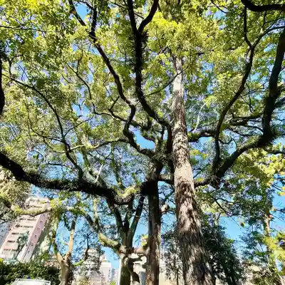 鳥飼八幡宮(福岡県)