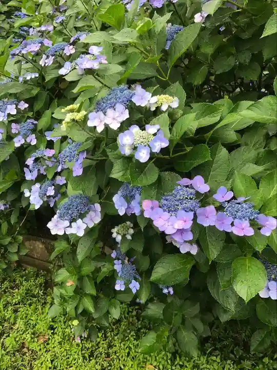 高幡不動尊 金剛寺(東京都)