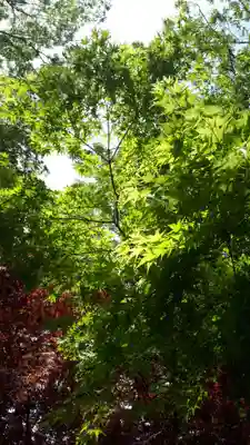 亀田八幡宮(北海道)